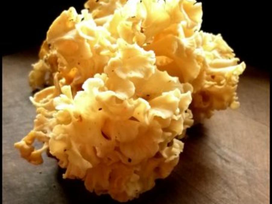 Krause Glucke mit Kartoffelrösti - Rezept - kochbar.de