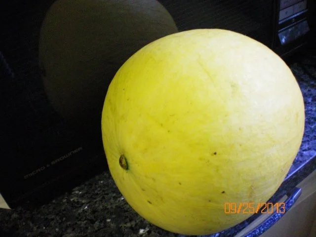 Rezept: Kürbissuppe herbstlich Bild Nr. 4 Kürbissuppe herbstlich - Rezept - Bild Nr. 4