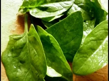 Steinpilz-Kartoffel-Süppchen mit Steinpilzbällchen - Rezept - Bild Nr. 6