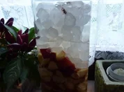 Getränk: Pfirsichlikör - Rezept