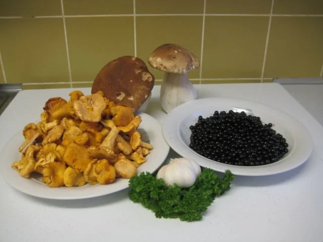 Rezept: Pilze an Holundersauce Bild Nr. 2 Pilze an Holundersauce - Rezept - Bild Nr. 2