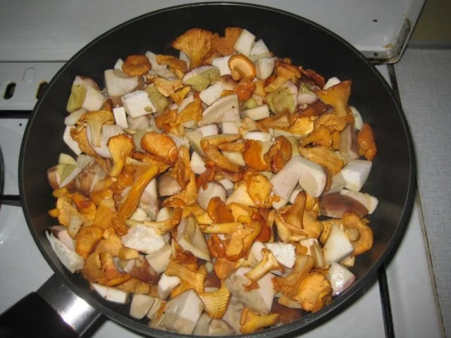 Rezept: Pilze an Holundersauce Bild Nr. 3 Pilze an Holundersauce - Rezept - Bild Nr. 3