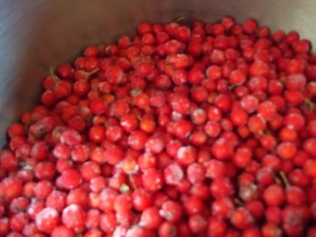 Vogelbeer-Marmelade - Rezept - Bild Nr. 2