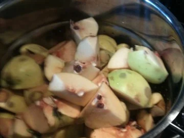 Rezept: Quittengelee mit Klaräpfel Bild Nr. 3 Quittengelee mit Klaräpfel - Rezept - Bild Nr. 3