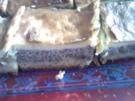 Mohnkuchen - Rezept