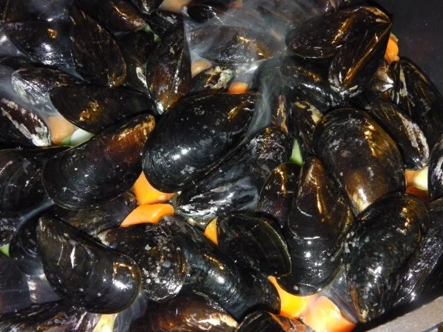 Erikas Miesmuscheln in "dicker" Weißweinsoße (Sydvestjyske Blåmuslinger deluxe) - Rezept - Bild Nr. 14