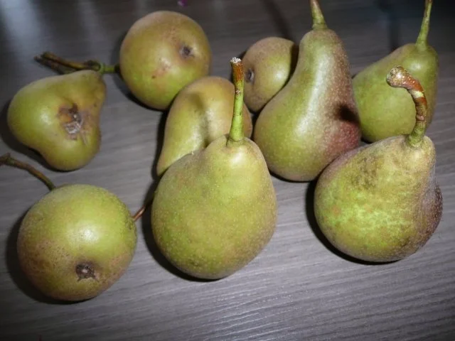 Birnen einkochen ! - Rezept - Bild Nr. 2