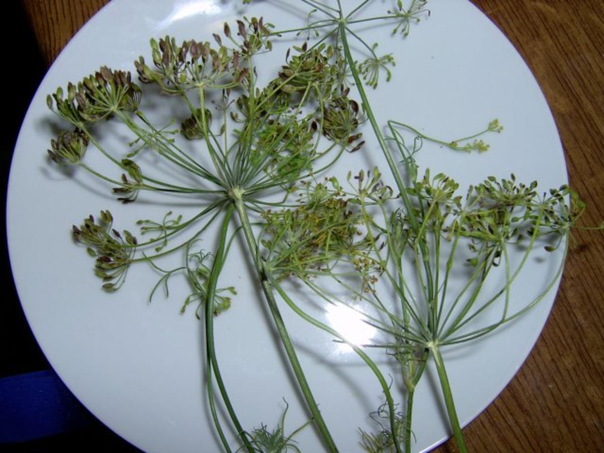 Gurken und Cornichons Einmach Gewürzmischung, zuckerhaltig Rezept kochbar.de