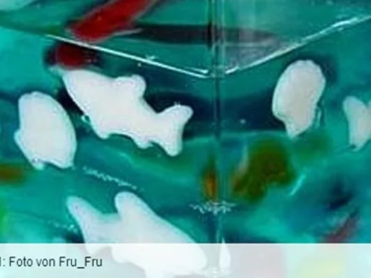 Rezept: Aquarium zum Essen Bild Nr. 2 Aquarium zum Essen - Rezept - Bild Nr. 2