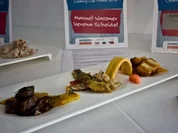 Die rote Sonne von Barbados ( Gewinnerteller Cooking Cup 2012 ) - Rezept