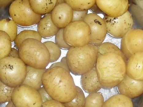 Chen - Salat - Rezept - Bild Nr. 5