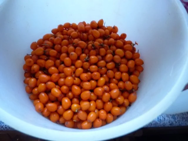 Marmelade: Sanddorn-Apfel-Gelee - Rezept - Bild Nr. 3