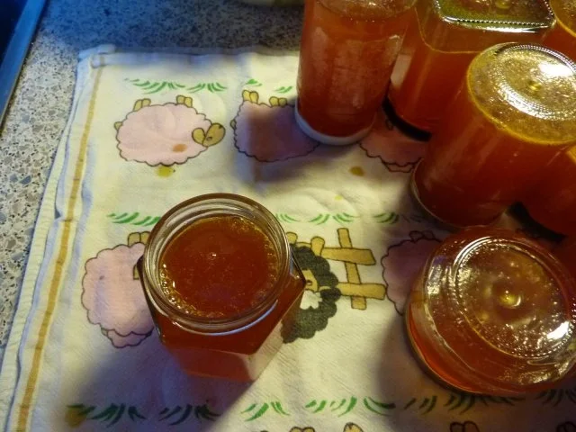 Marmelade: Sanddorn-Apfel-Gelee - Rezept - Bild Nr. 13