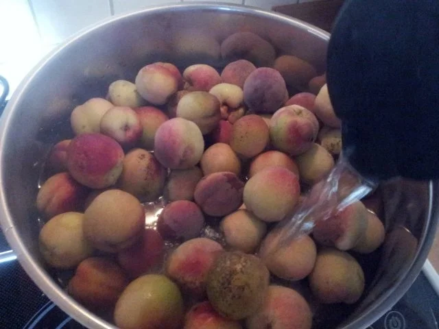 Pfirsichkompott - Rezept - Bild Nr. 2