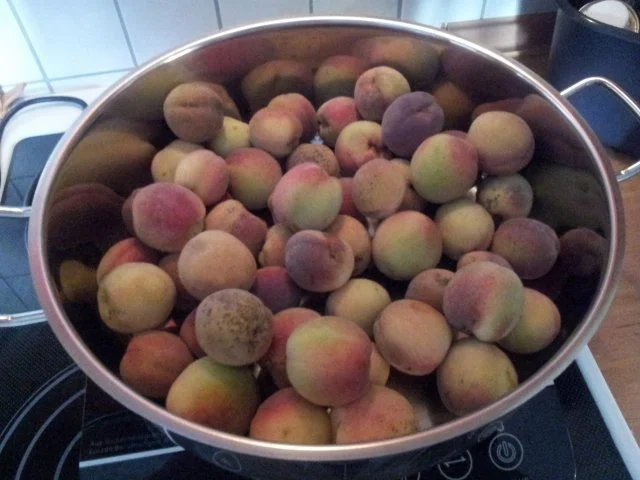 Pfirsichkompott - Rezept - Bild Nr. 3