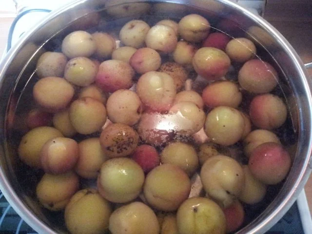 Pfirsichkompott - Rezept - Bild Nr. 4