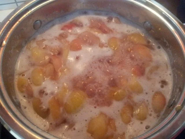 Pfirsichkompott - Rezept - Bild Nr. 7
