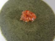 Spinatcremesuppe (wahlweise mit Lachs) - Rezept