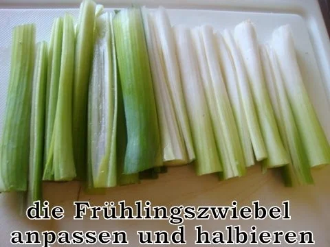 Rezept: Rouladen mit Frühlingszwiebel-Kalbsbrätfüllung Bild Nr. 5 Rouladen mit Frühlingszwiebel-Kalbsbrätfüllung - Rezept - Bild Nr. 5