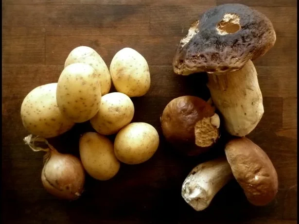 Rezept: Kartoffel-Gratin mit Steinpilzen Bild Nr. 2 Kartoffel-Gratin mit Steinpilzen - Rezept - Bild Nr. 2