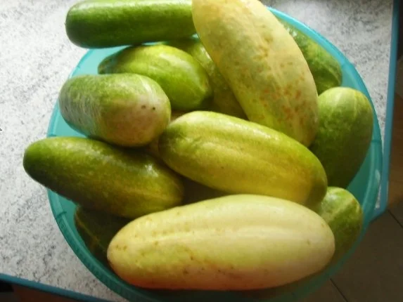 ❤ Senfgurken nach meiner Art ❤ - Rezept - Bild Nr. 2