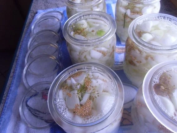 ❤ Senfgurken nach meiner Art ❤ - Rezept - Bild Nr. 10