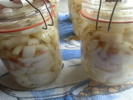 ❤ Senfgurken nach meiner Art ❤ - Rezept - Bild Nr. 13