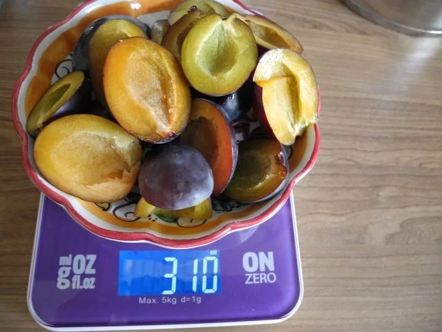 Rezept: Dessert : Pflaumen in Quark - Joghurt - Pudding Bild Nr. 2 Dessert : Pflaumen in Quark - Joghurt - Pudding - Rezept - Bild Nr. 2