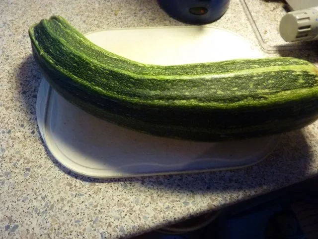 Vorrat: Zucchini süß-sauer - Rezept - Bild Nr. 2