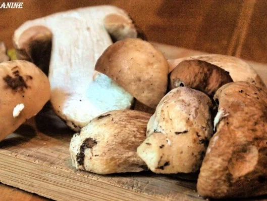 Steinpilz-Hähnchen - Rezept - Bild Nr. 2