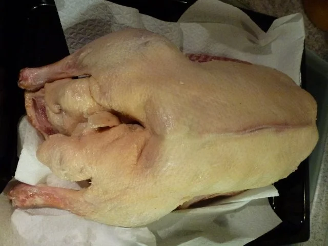 Rezept: Gans-Niedrig gegart, saftig, zart und knusprig Bild Nr. 2 Gans-Niedrig gegart, saftig, zart und knusprig - Rezept - Bild Nr. 2