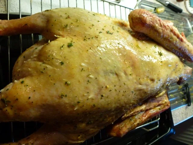 Rezept: Gans-Niedrig gegart, saftig, zart und knusprig Bild Nr. 7 Gans-Niedrig gegart, saftig, zart und knusprig - Rezept - Bild Nr. 7