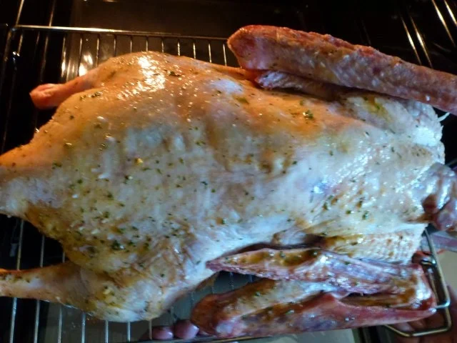 Rezept: Gans-Niedrig gegart, saftig, zart und knusprig Bild Nr. 8 Gans-Niedrig gegart, saftig, zart und knusprig - Rezept - Bild Nr. 8