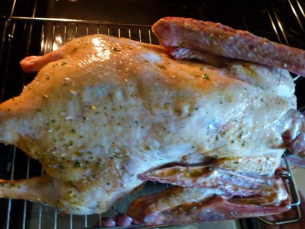 Gans Niedrig gegart, saftig, zart und knusprig - von Test00
