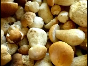 Rezept: Steinpilze süß-sauer Bild Nr. 2 Steinpilze süß-sauer - Rezept - Bild Nr. 2