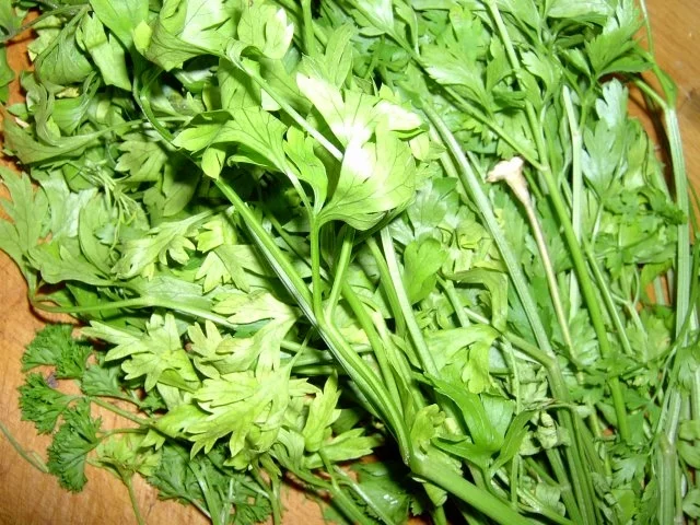 Rezept: Petersilienrahmsuppe Bild Nr. 2 Petersilienrahmsuppe - Rezept - Bild Nr. 2