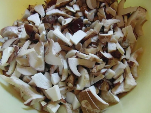 Rezept: frische Waldpilze in Rahmsosse mit hausgemachten Semmelknödeln Bild Nr. 5 frische Waldpilze in Rahmsosse mit hausgemachten Semmelknödeln - Rezept - Bild Nr. 5