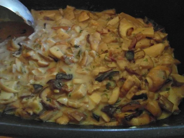 Rezept: frische Waldpilze in Rahmsosse mit hausgemachten Semmelknödeln Bild Nr. 6 frische Waldpilze in Rahmsosse mit hausgemachten Semmelknödeln - Rezept - Bild Nr. 6