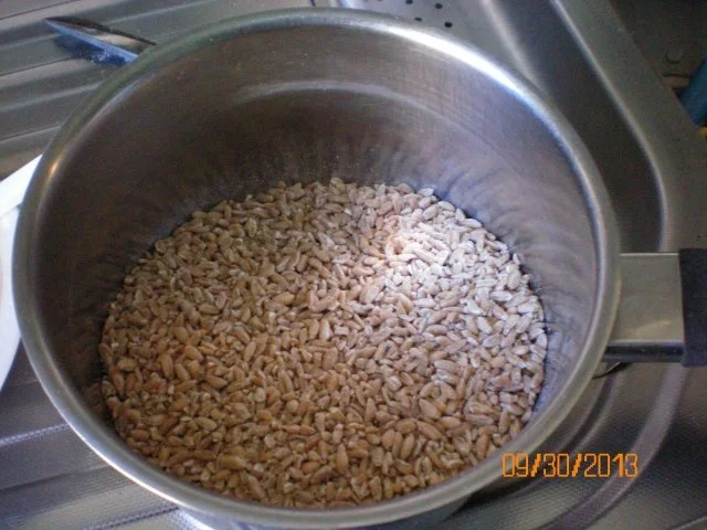 Rezept: Brot: Vollkornbrot Bild Nr. 3 Brot: Vollkornbrot - Rezept - Bild Nr. 3