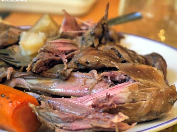 Enten-Rilette - Rezept - Bild Nr. 5