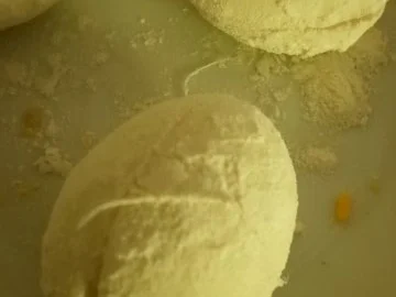 Gefülltes und paniertes Ei auf Steinpilz-Spinat - Rezept - Bild Nr. 6