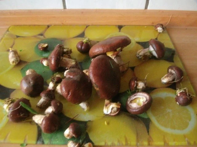 Schweinelachsbraten mit Butterpilzen und grünen Bohnen - Rezept - Bild Nr. 8