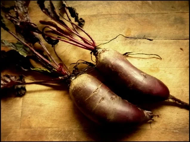 Rezept: Rote-Bete-Pappardelle mit Wiesenchampignons Bild Nr. 3 Rote-Bete-Pappardelle mit Wiesenchampignons - Rezept - Bild Nr. 3