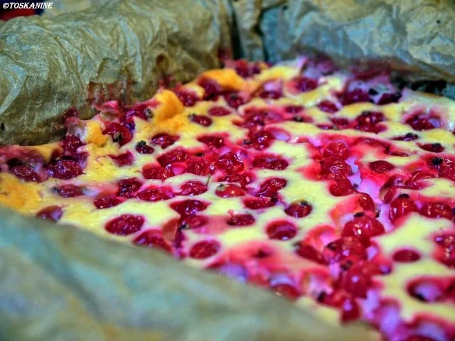 Johannisbeer-Ricotta-Kuchen - Rezept - Bild Nr. 15
