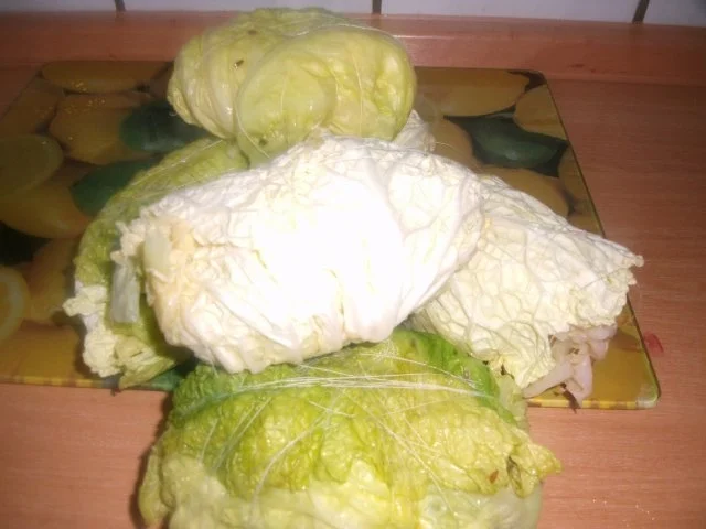 Rezept: Wirsingkohlrouladen Bild Nr. 6 Wirsingkohlrouladen - Rezept - Bild Nr. 6
