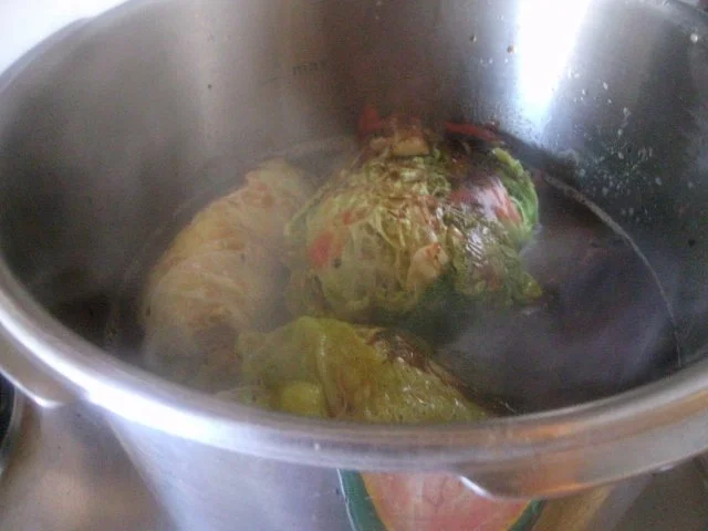 Rezept: Wirsingkohlrouladen Bild Nr. 8 Wirsingkohlrouladen - Rezept - Bild Nr. 8