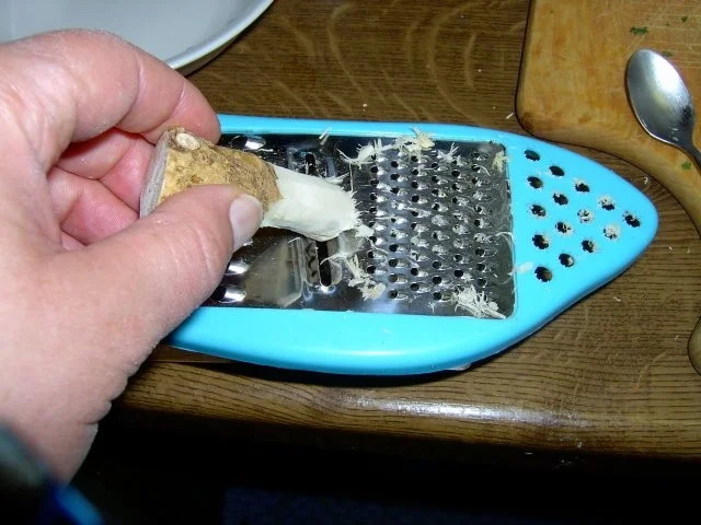 Tafel-Meerrettich Grundrezept - Rezept - Bild Nr. 2