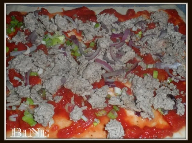 Rezept: BiNe` S PIZZABRØTCHEN Bild Nr. 3 BiNe` S PIZZABRØTCHEN - Rezept - Bild Nr. 3