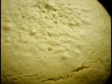 Olivenöl-Kuchen mit Äpfeln - Rezept - Bild Nr. 4