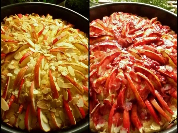 Olivenöl-Kuchen mit Äpfeln - Rezept - Bild Nr. 8